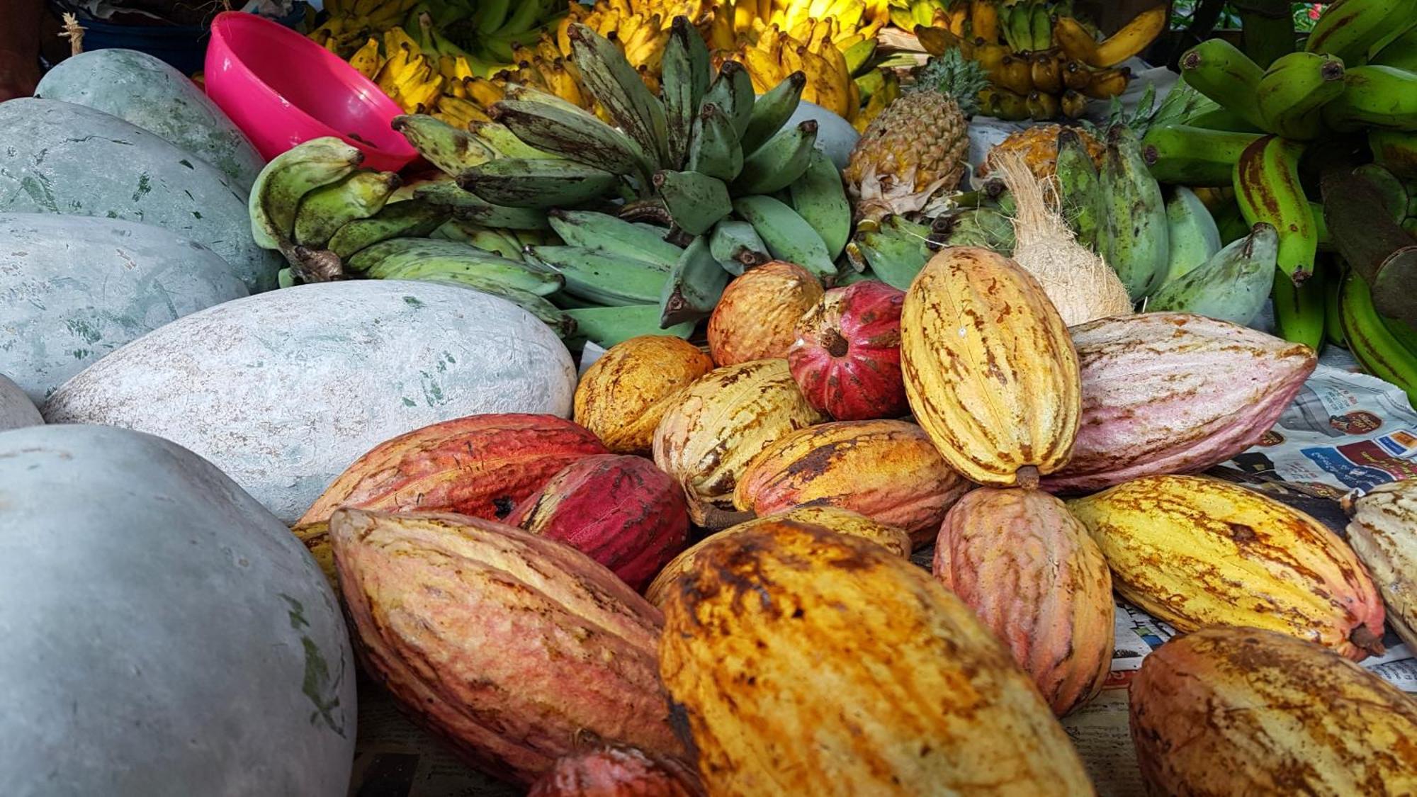 Singharaja Garden Agro Eco Lodge Pelawatta  المظهر الخارجي الصورة