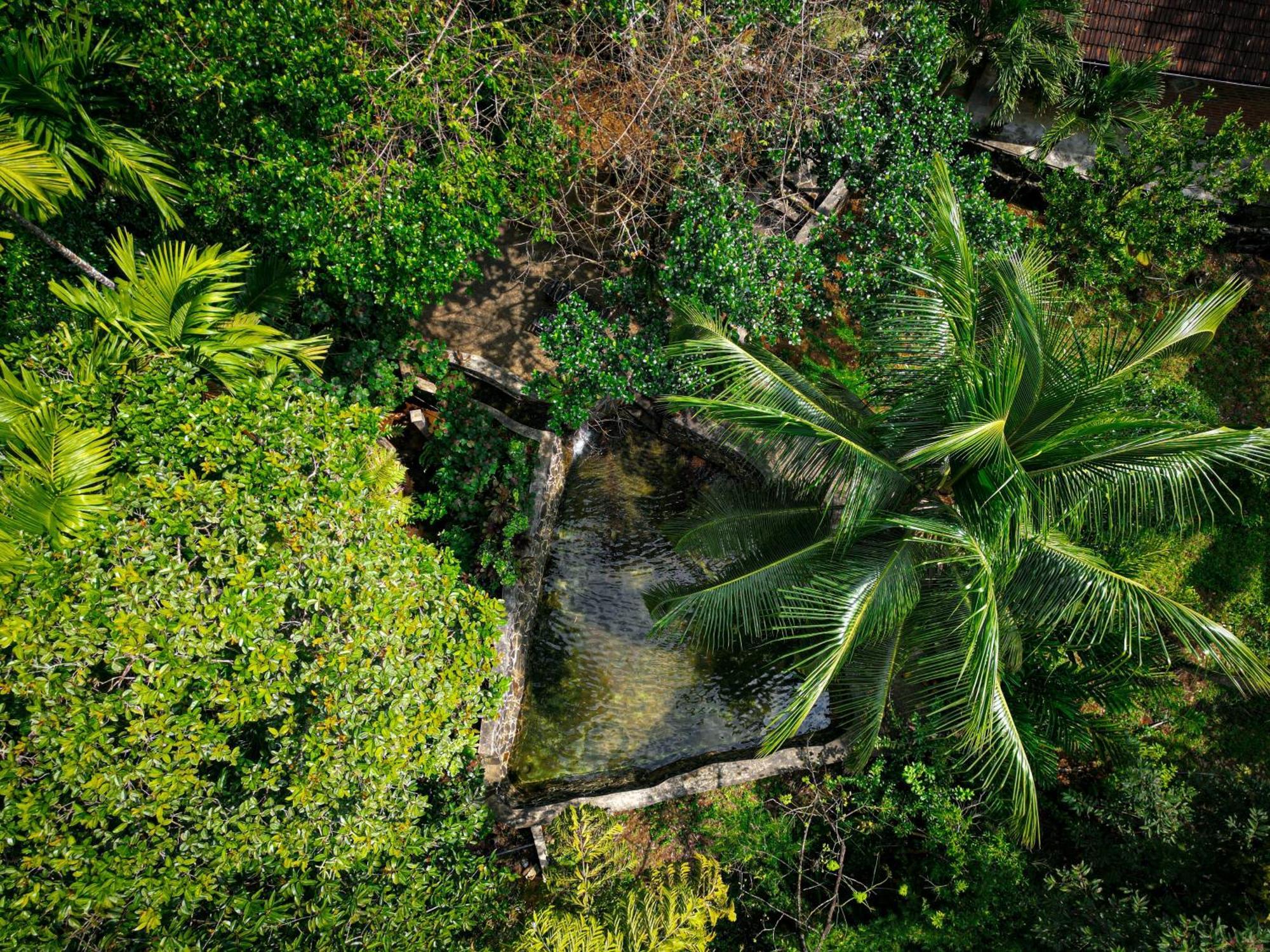 Singharaja Garden Agro Eco Lodge Pelawatta  المظهر الخارجي الصورة