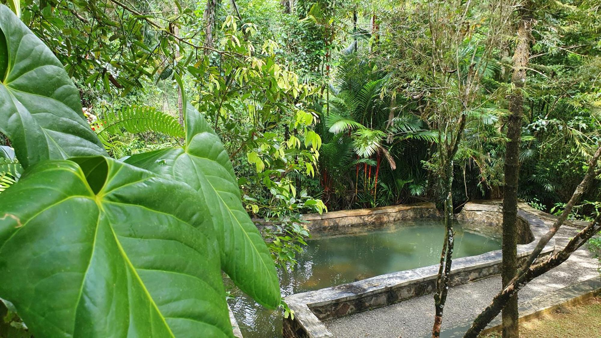 Singharaja Garden Agro Eco Lodge Pelawatta  الغرفة الصورة